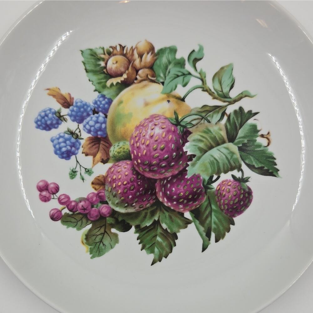 Naaman Fruit Pattern Dinner Plates Set of 4 White Multicolor Ceramic Round - Picture 4 of 7